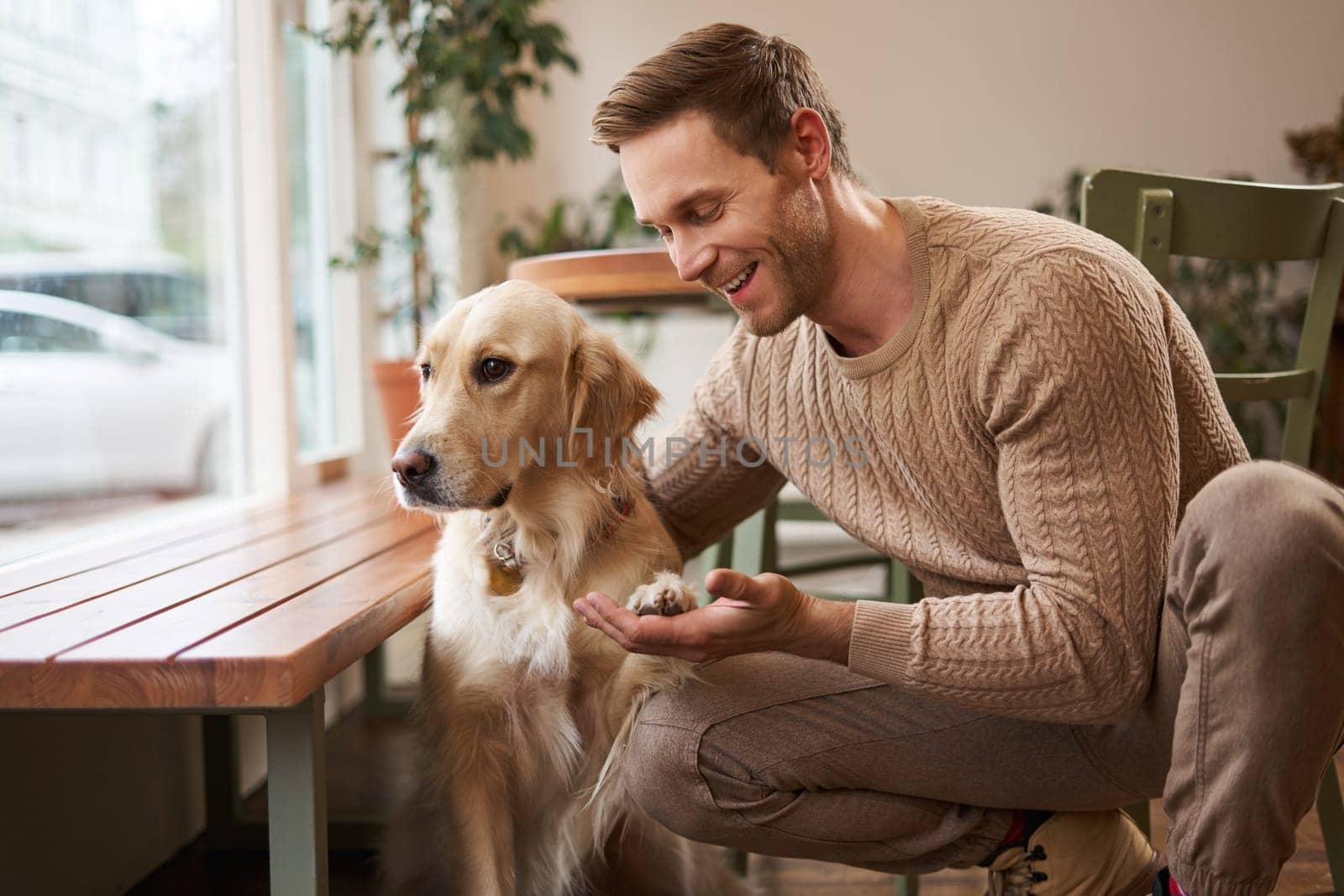 Close up portrait of cute smart dog gives paw to his owner. Handsome man with his golden retriever sitting in a pet friendly cafe.