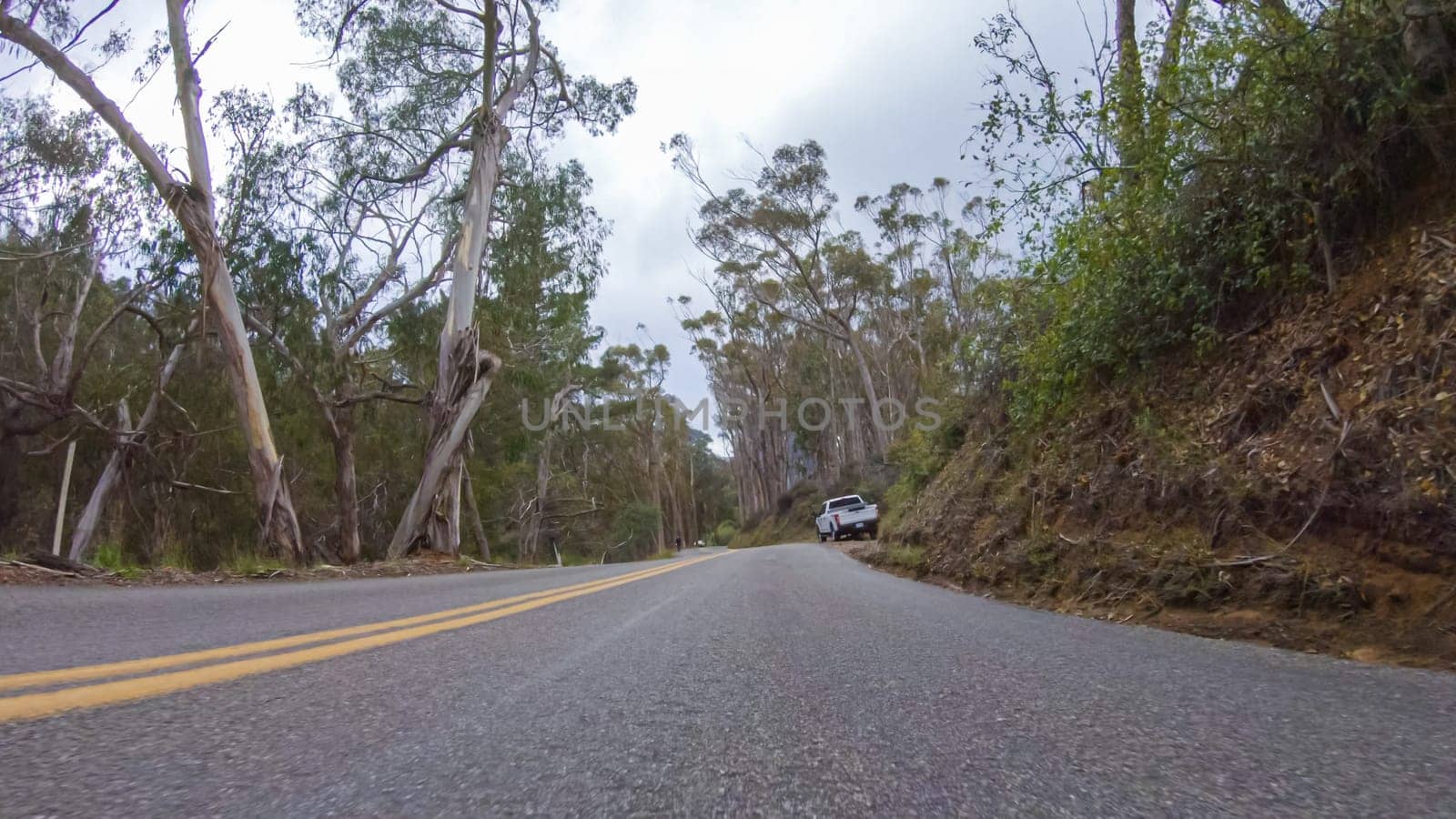 In this serene winter scene, a vehicle carefully makes its way along Los Osos Valley Road and Pecho Valley Road within Montana de Oro State Park.