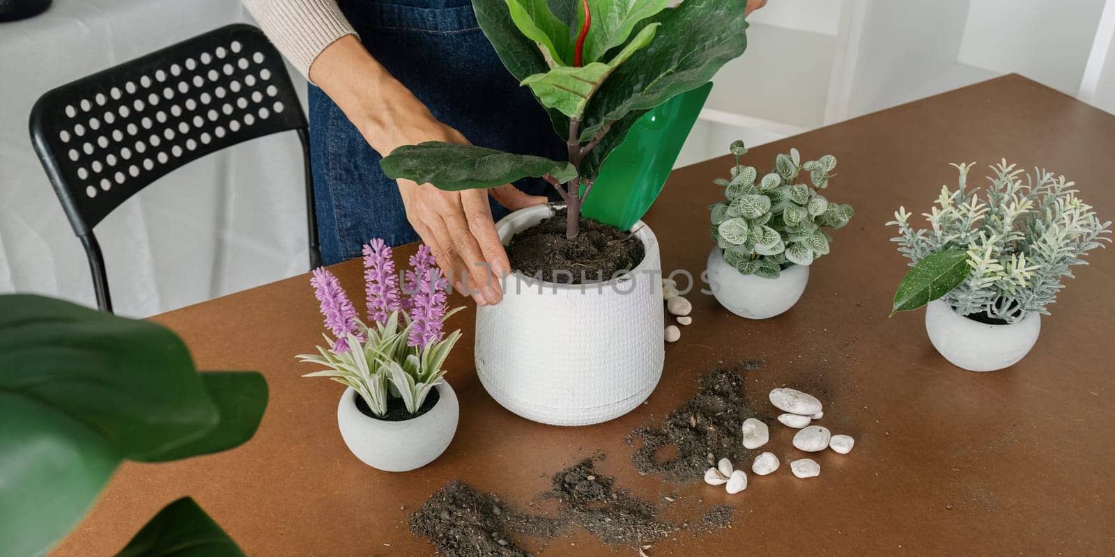 A woman is planting a plant in a white pot. The plant is surrounded by other plants in different pots
