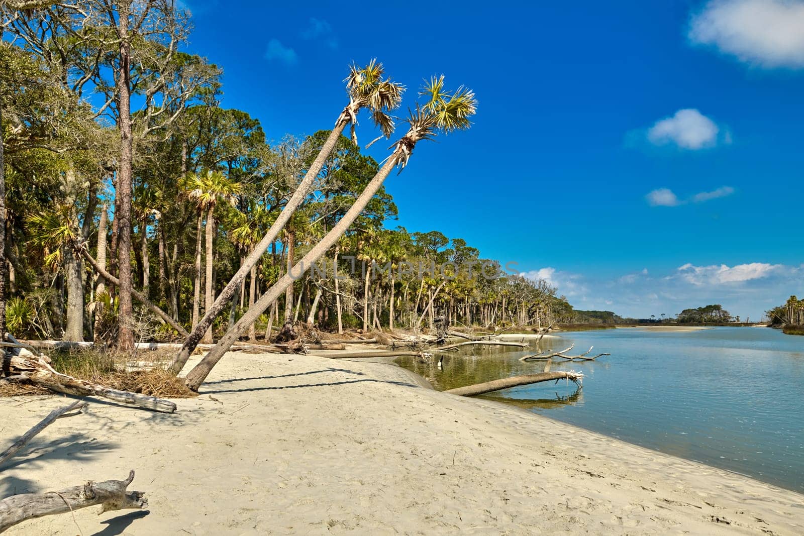 The lagoon at Hunting Island Park, SC. by patrickstock