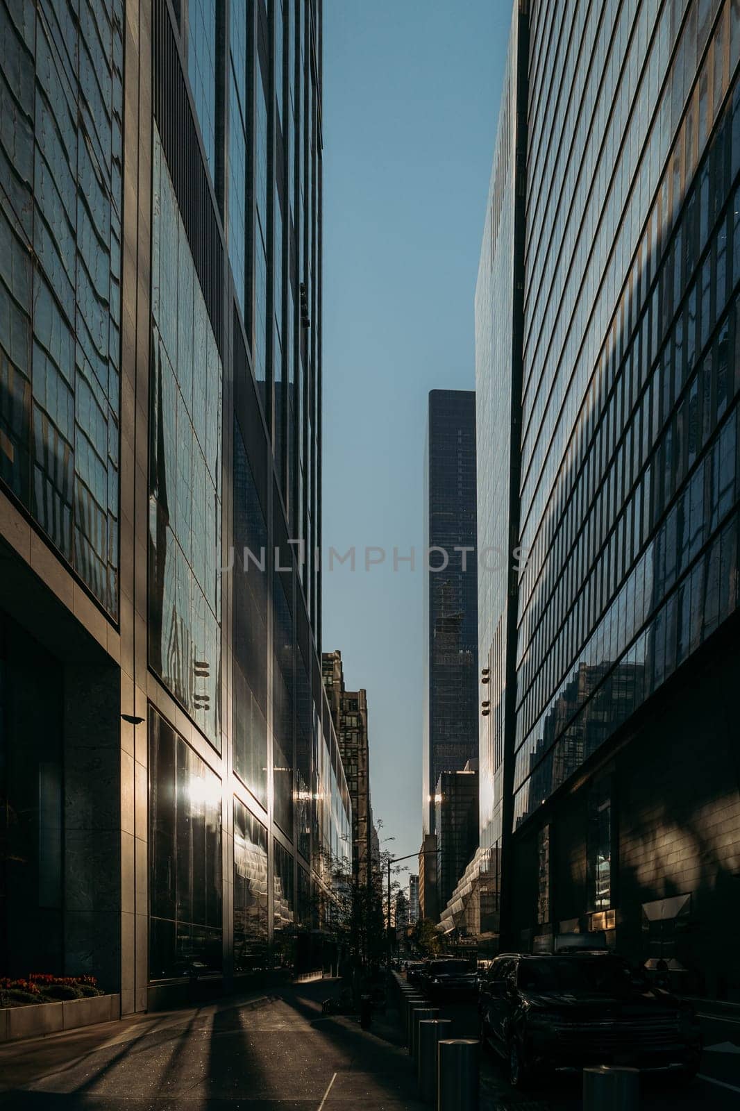 The sun casts long shadows between high-rise buildings in an NYC alley.