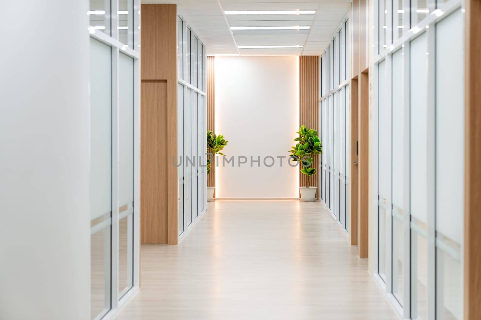 Empty modern office bright corridor with glass wall. Hall way. Ornamented. by biancoblue