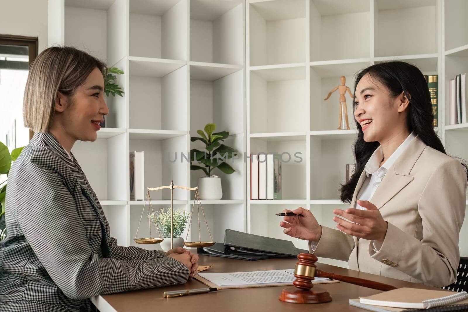 A young lawyer and businesswoman are discussing legal advice on signing a business contract. Insurance or financial contract signing.