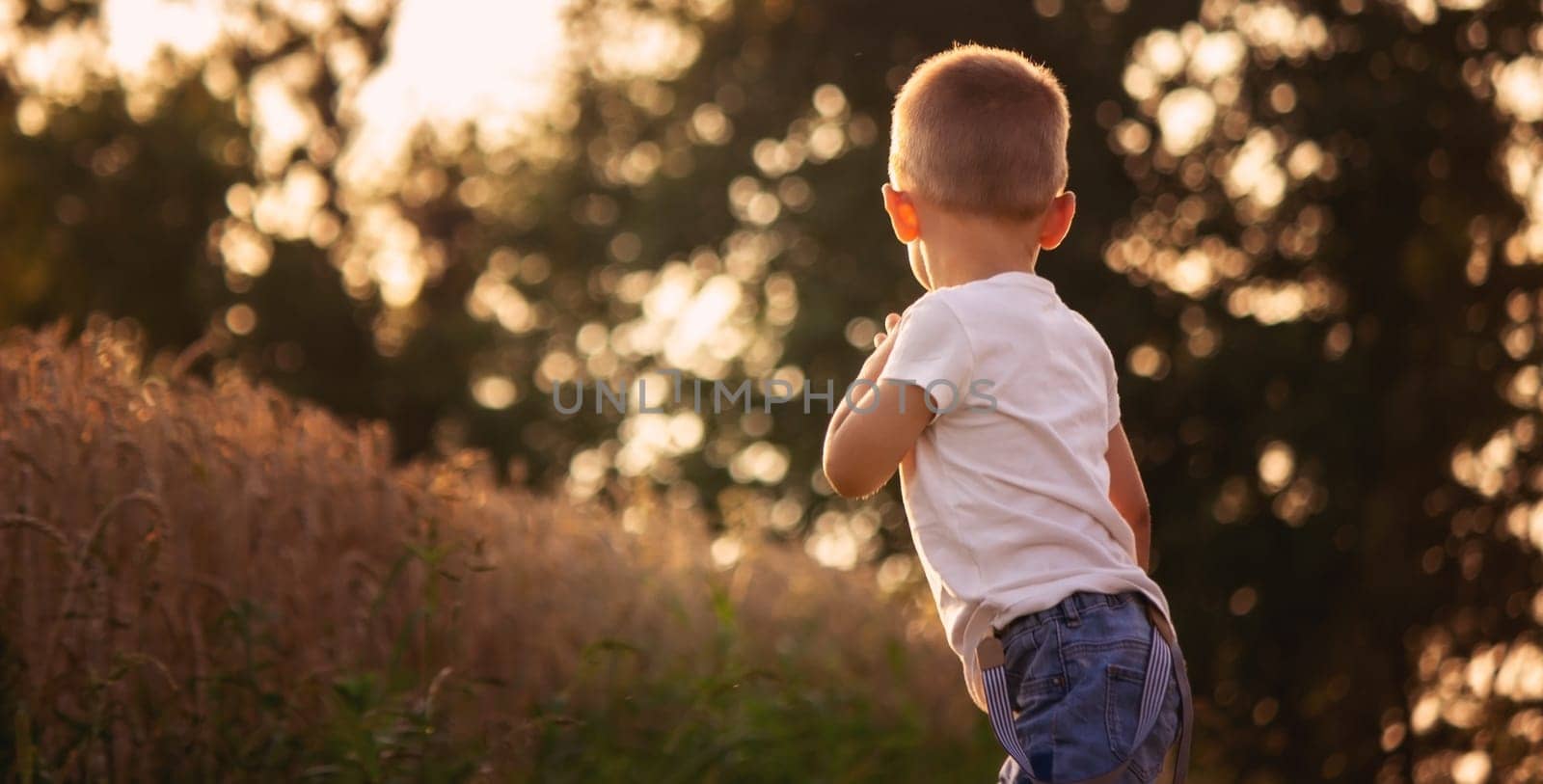 a child in a wheat field. nature