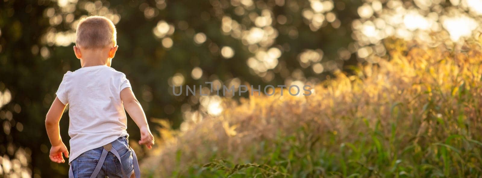 a child in a wheat field. nature