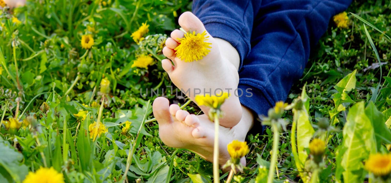 children's feet on the background of dandelions. nature