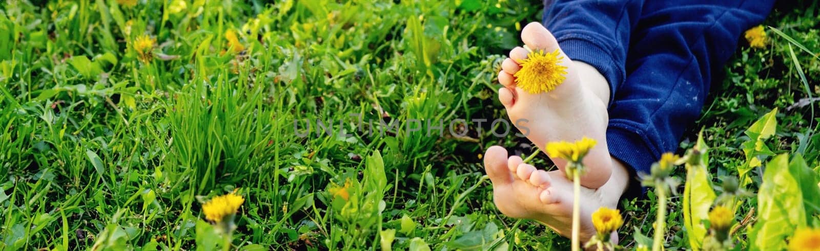 children's feet on the background of dandelions. nature