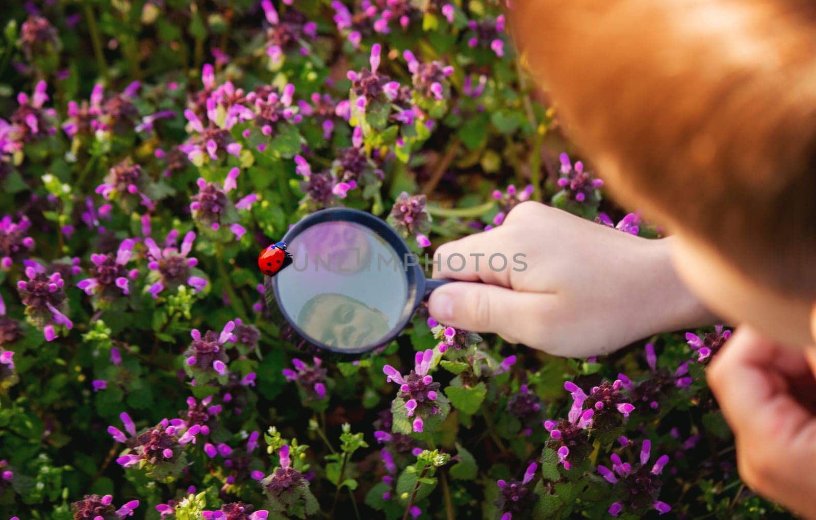 A child looks through a magnifying glass. A big child's eye