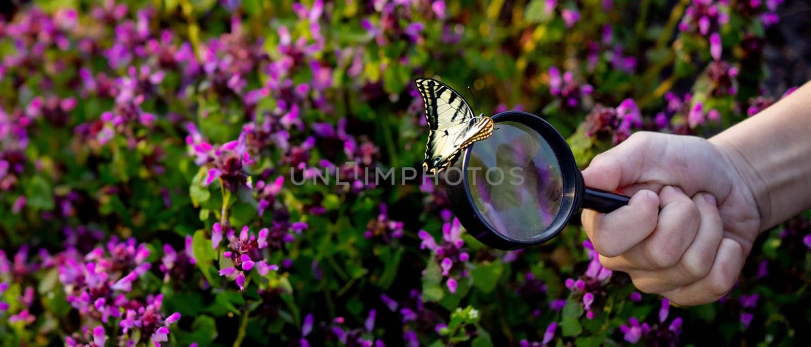 A child looks through a magnifying glass. A big child's eye