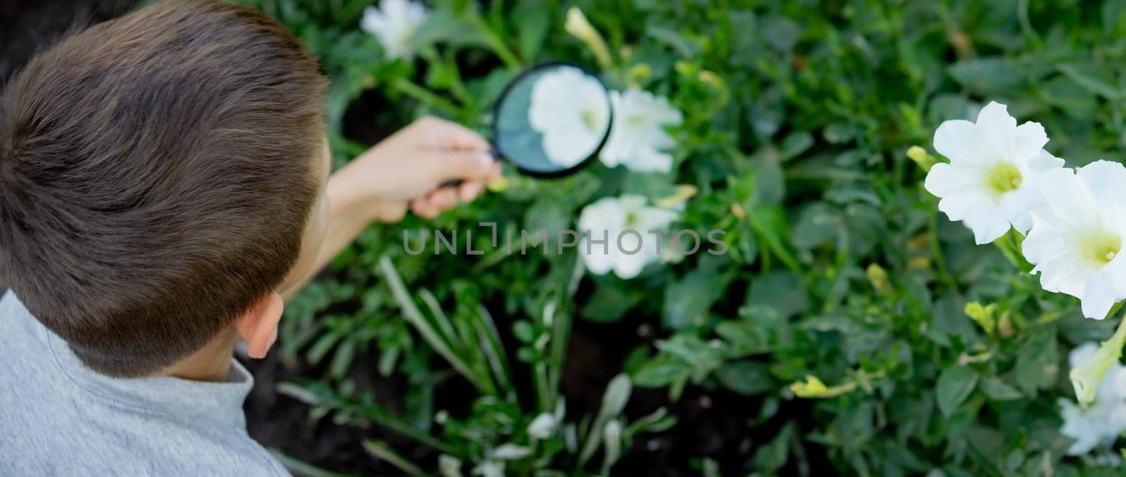 A happy child is looking into a magnifying glass, enjoying a sunny day in summer