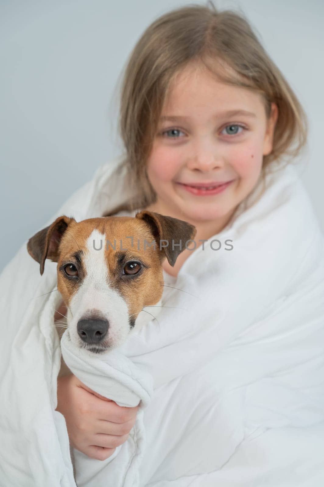 Little Caucasian girl hugging a Jack Russell terrier dog wrapped in a blanket. Vertical photo