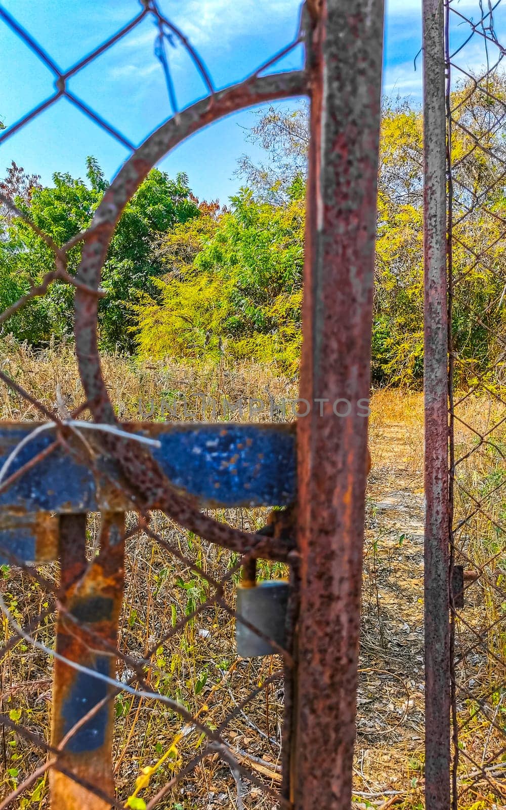 Nature jungle and forest behind rusty fence and gate in Zicatela Puerto Escondido Oaxaca Mexico.