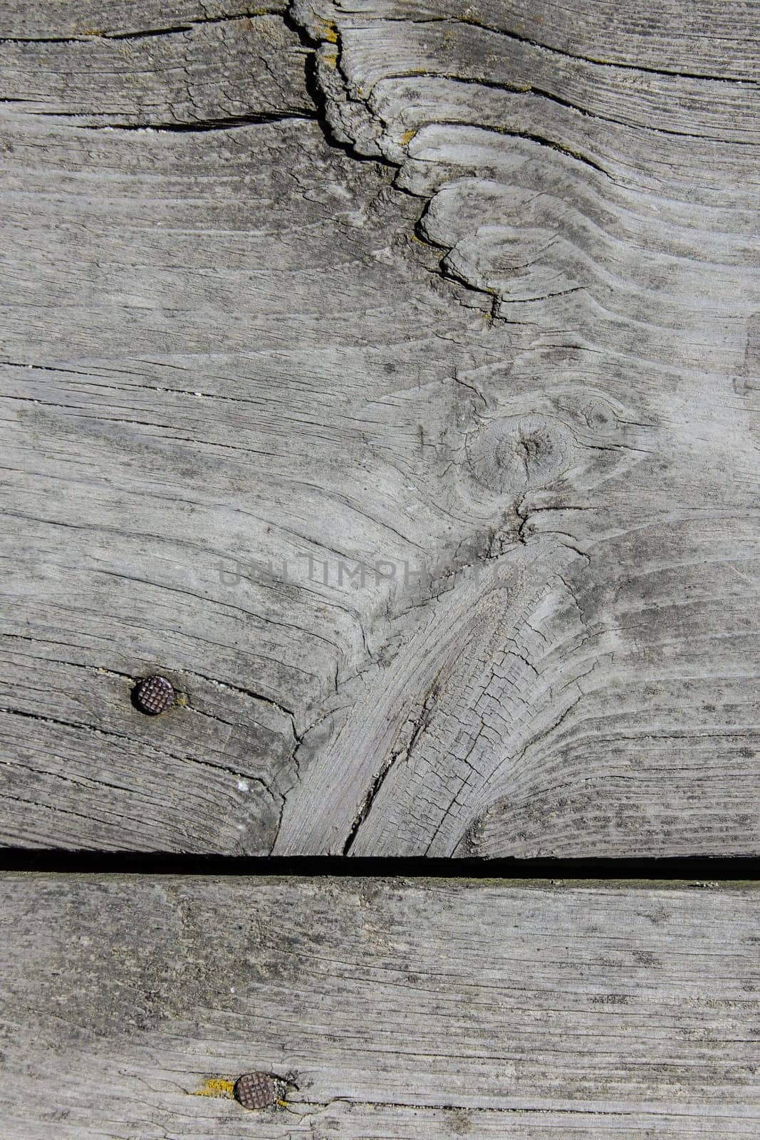 Old wood texture, vintage natural background. Gray color