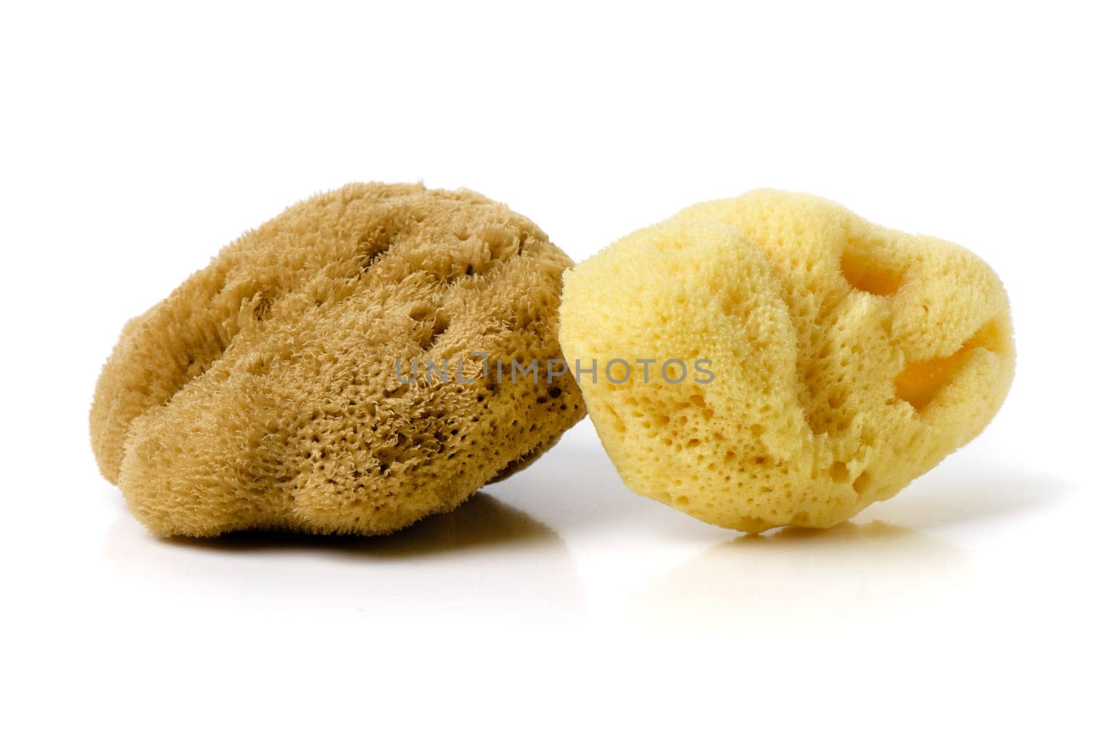 The fine silk natural bathing sea spong isolated over white background. Bath sponge for babies.