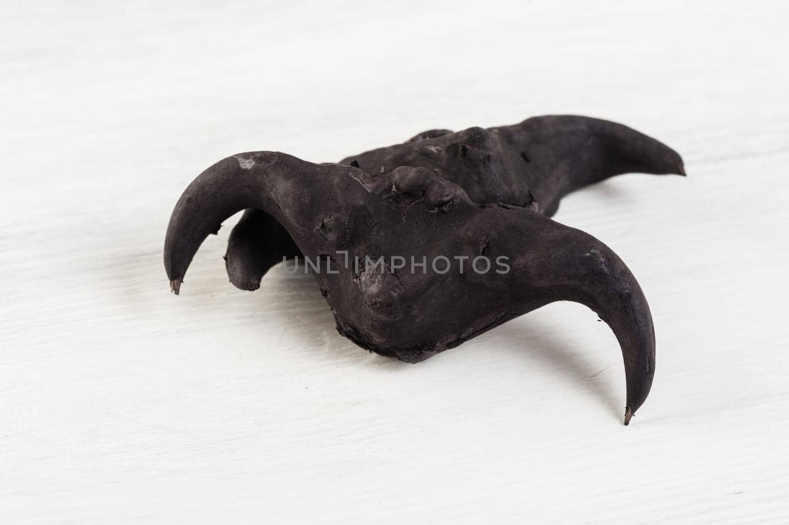 closeup water caltrop by norgal