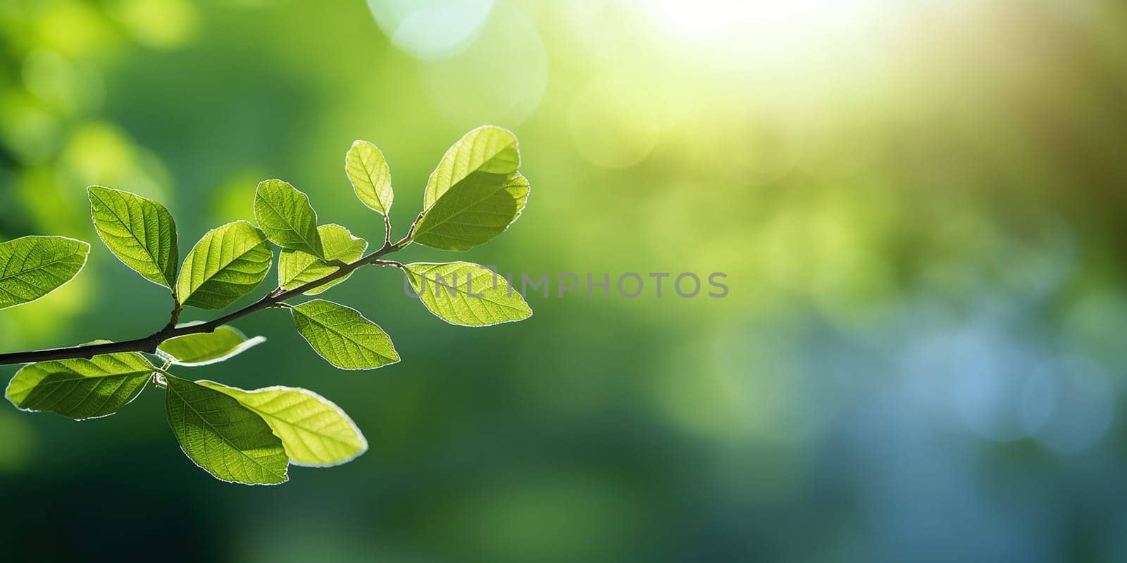 Green leaves on a branch with sunlight filtering through.
