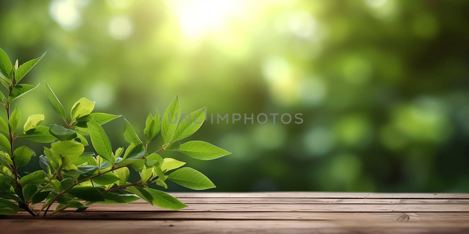 Green leaves on a wooden platform with a blurred forest background and sunshine.