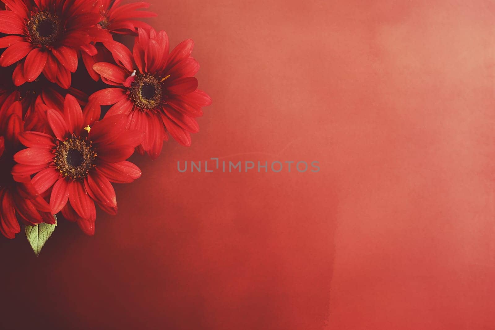 Vibrant red gerbera daisies on a textured ruby background. by Hype2art