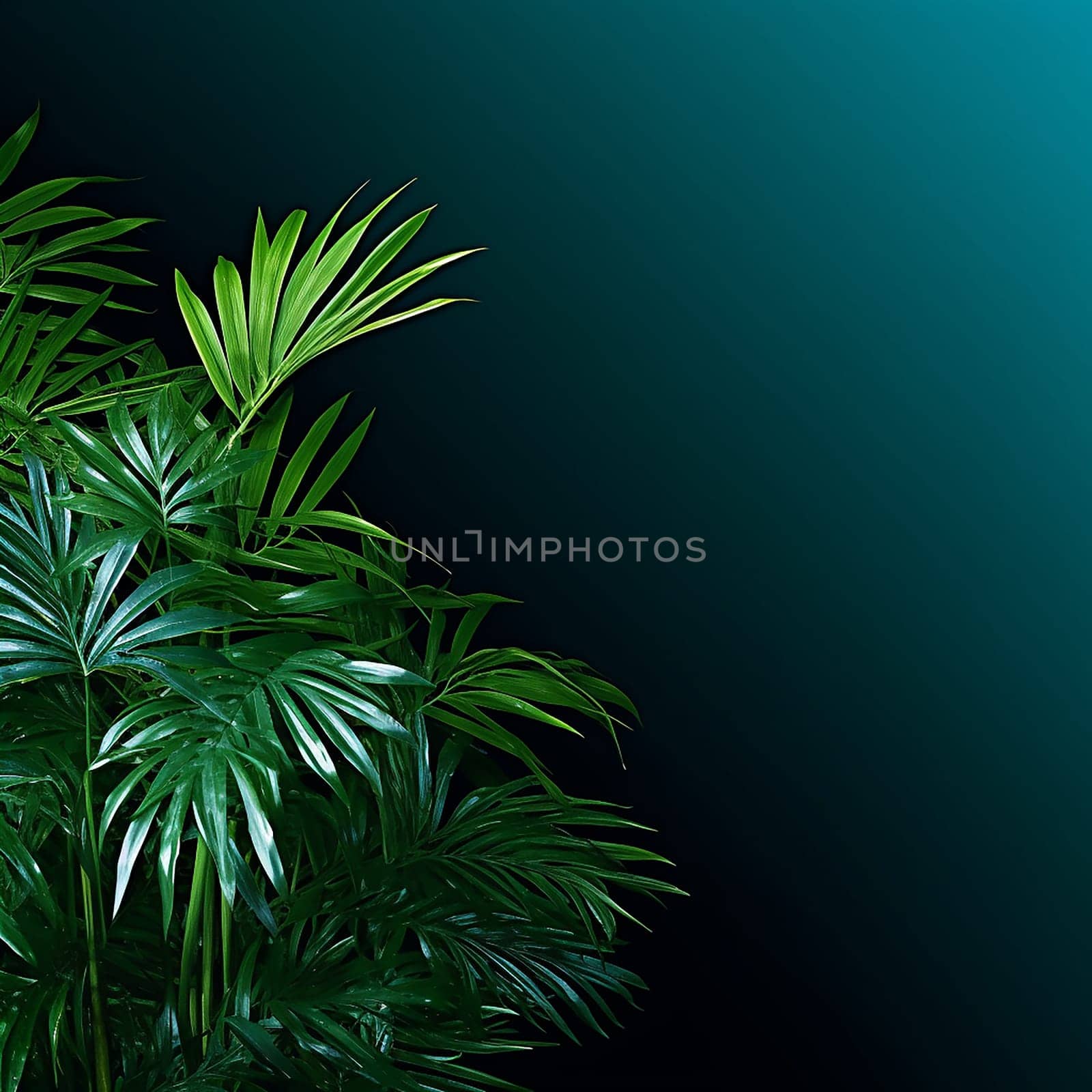 Green tropical leaves on a dark background. by Hype2art