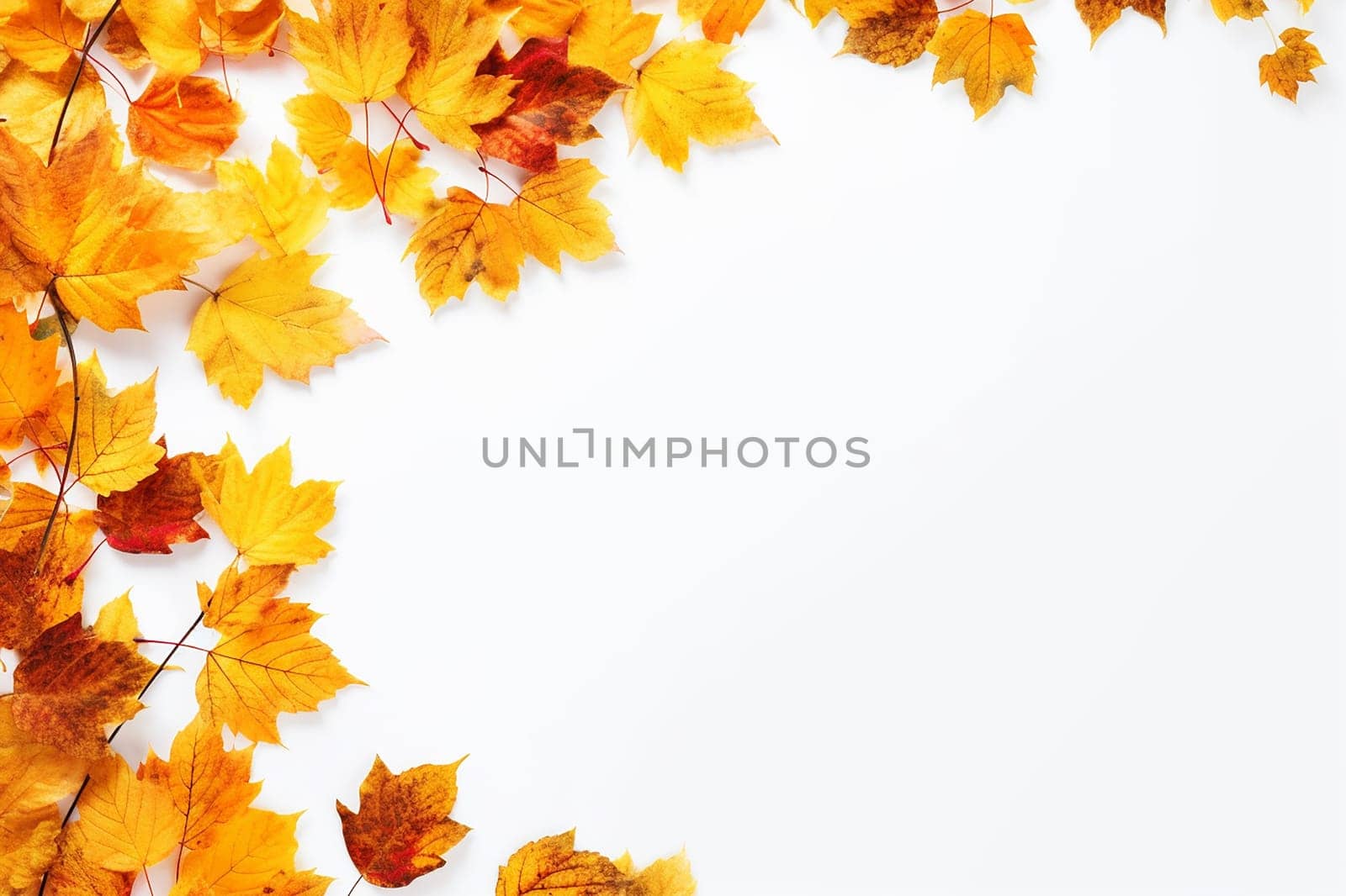Autumn leaves border on white background with space for text