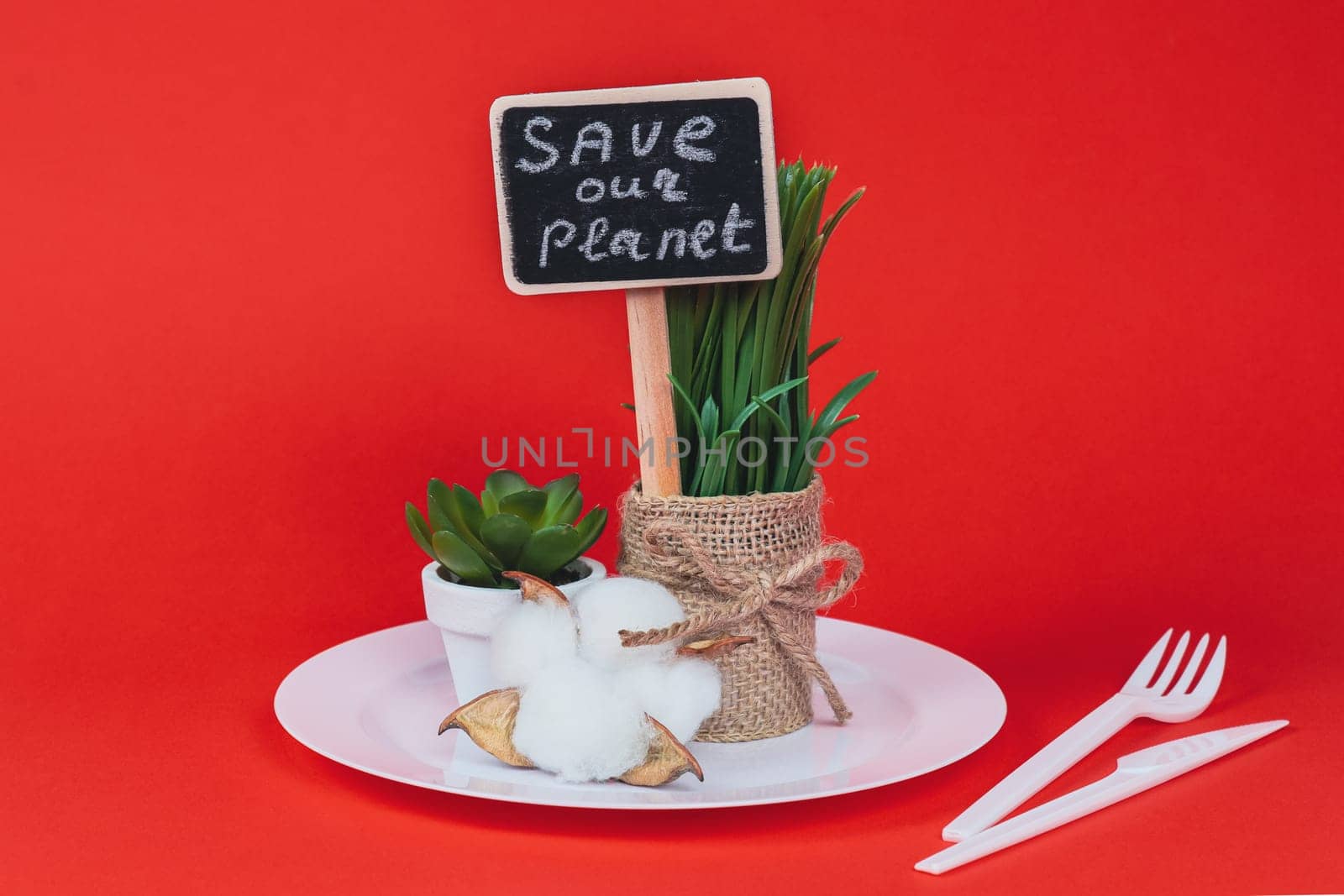 One baggy pot with sprouted wheat, a succulent on a white plastic plate with a peg with the inscription: save our planet and a disposable fork and knife stand in the center on a red background, side view close-up.