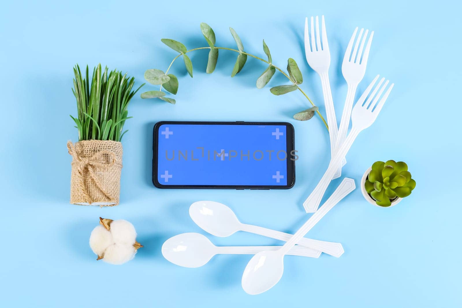 Mobile phone with a blue screen, disposable white glasses, eucalyptus branch, cotton flower, succulent, sprouted wheat in a pot and disposable cutlery lie on a pastel blue background, flat lay close-up.