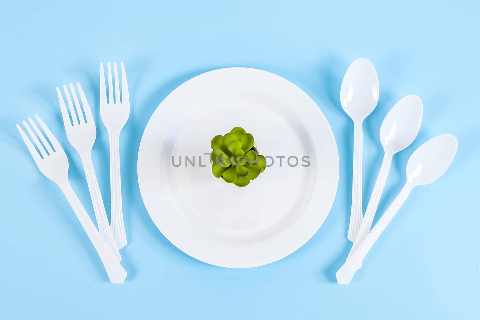 A succulent flower in a plastic white plate, three disposable forks and three spoons lie on a pastel blue background, flat lay close-up.