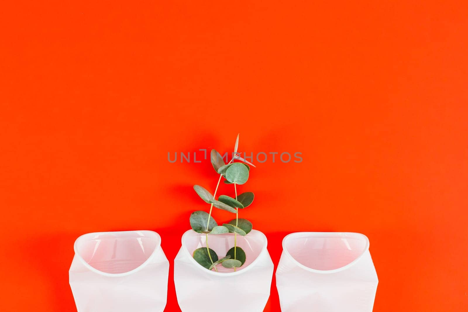 Plastic crumpled glasses with a eucalyptus branch on a red background. by Nataliya
