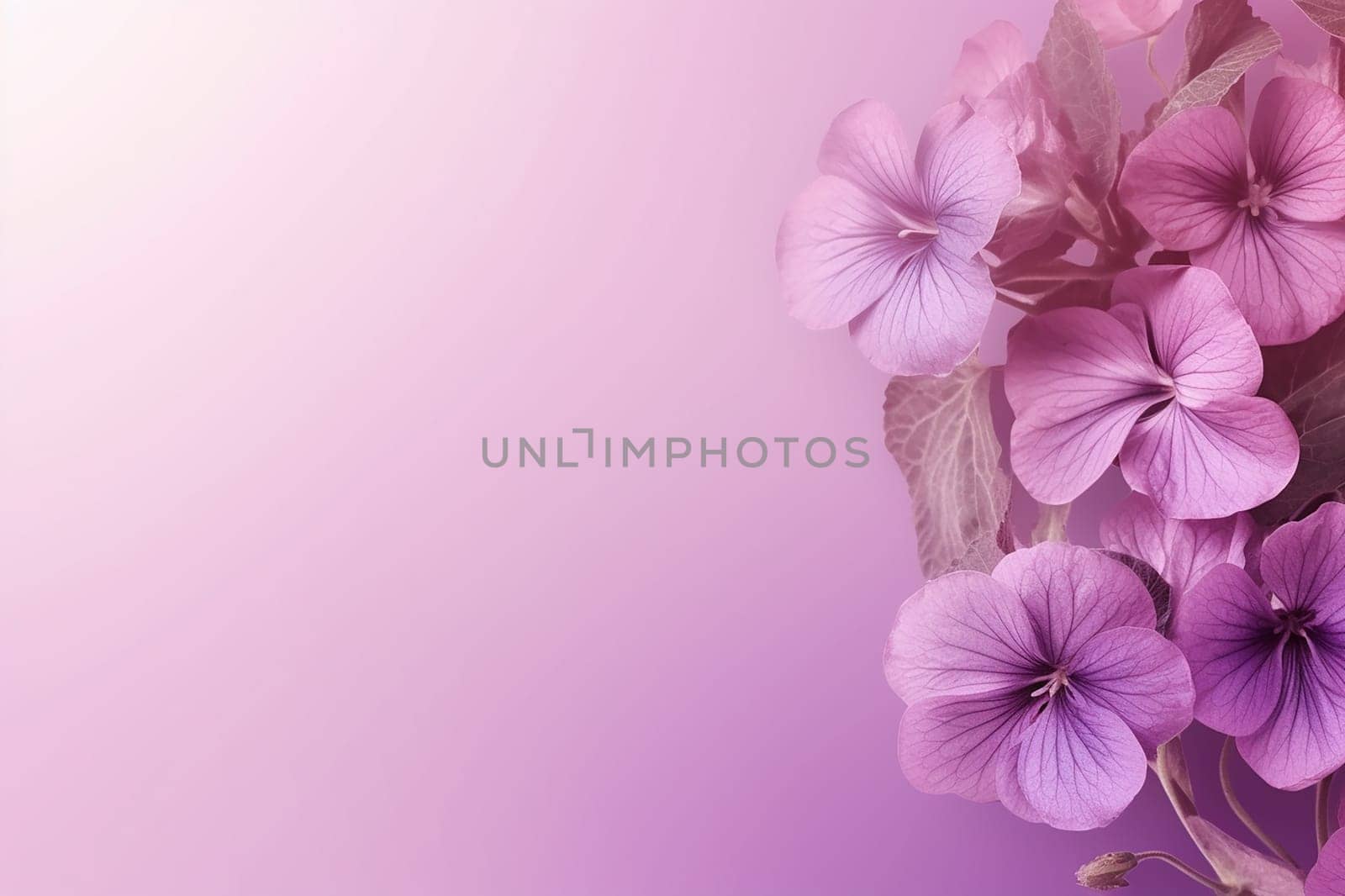 Purple flowers on a soft pink background. by Hype2art