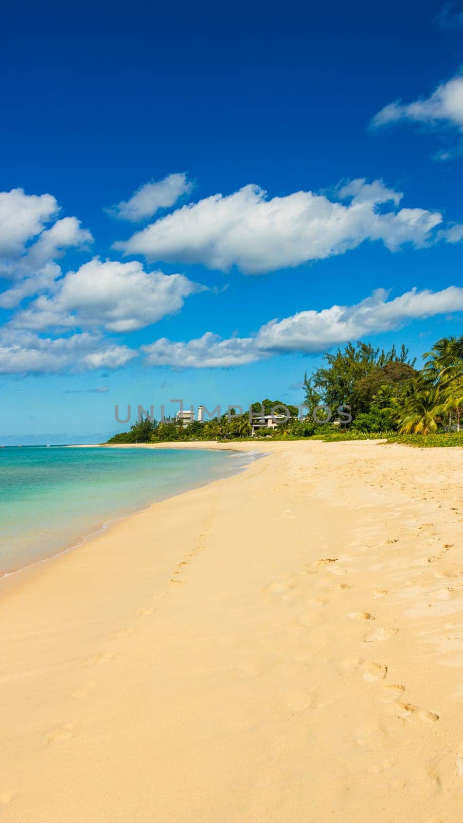 Barbados Island's Sandy Paradise Beach, Caribbean Island by vladispas