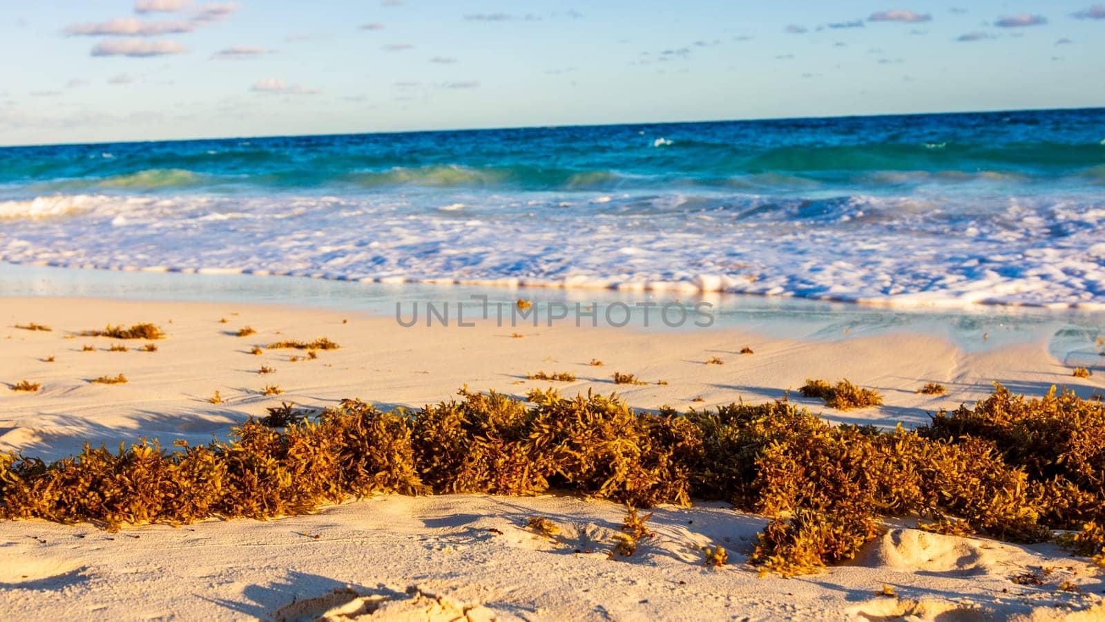 Horseshoe Bay Beach and Deep Bay Beach in Hamilton, Bermuda