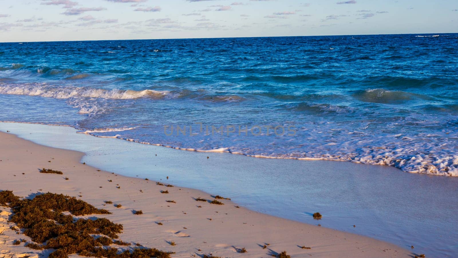 Horseshoe Bay Beach and Deep Bay Beach in Hamilton, Bermuda