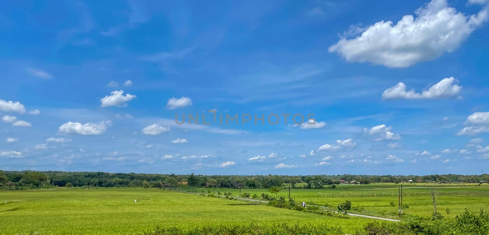 beautiful view of landscape and green view with blue sky and white cloud by antoksena