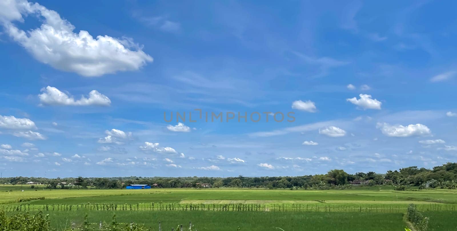 beautiful view of landscape and green view with blue sky and white cloud by antoksena