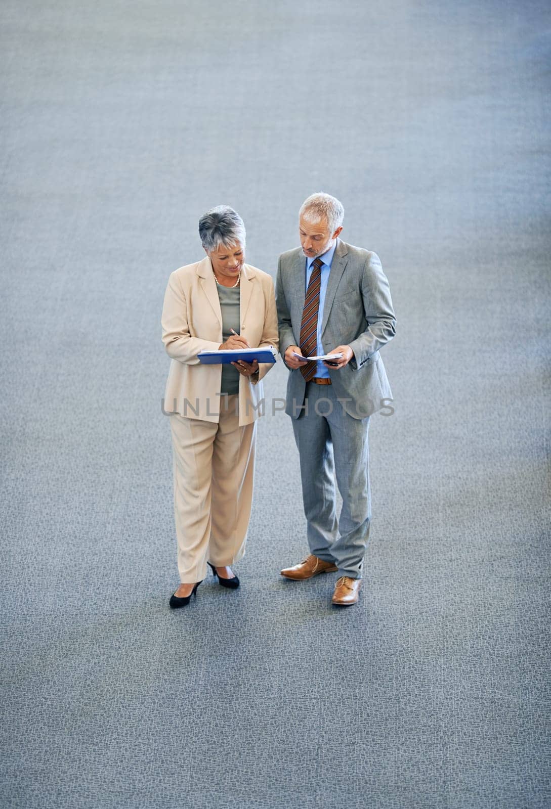 Business people, paperwork and seniors in discussion, planning and documents in office. Colleagues, workplace and communication in firm for problem solving, solution and management for research.