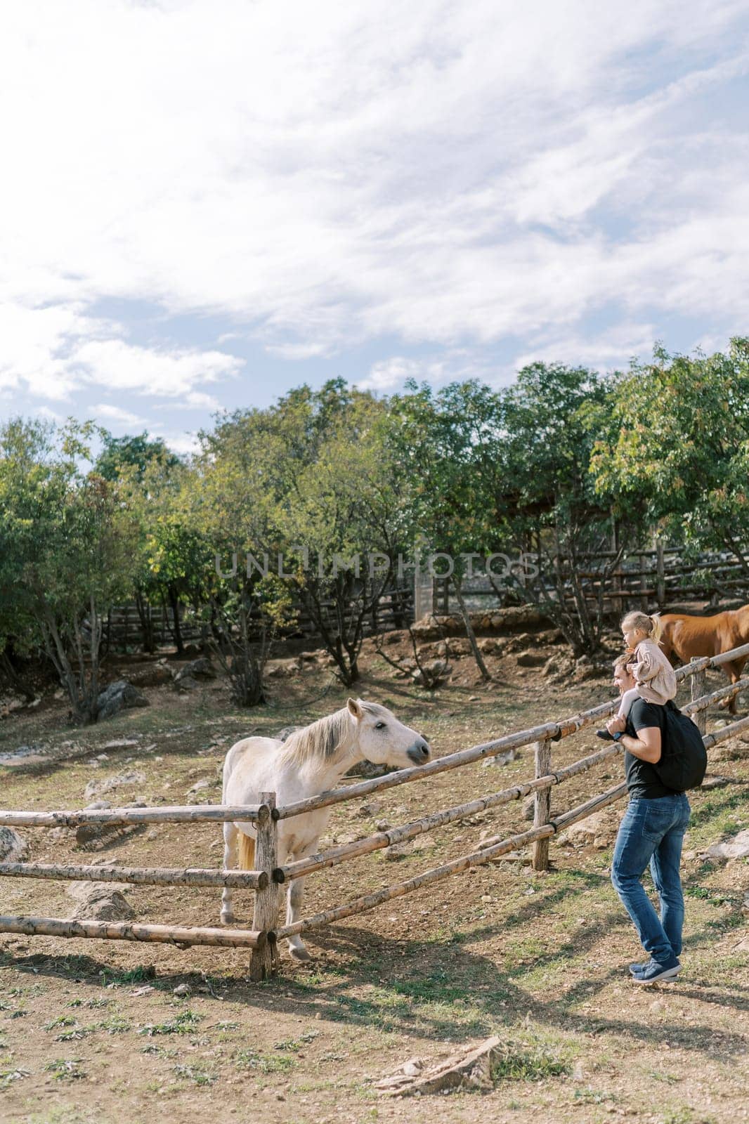 Dad with a little girl on his shoulders stands near a wooden fence of a corral with horses by Nadtochiy