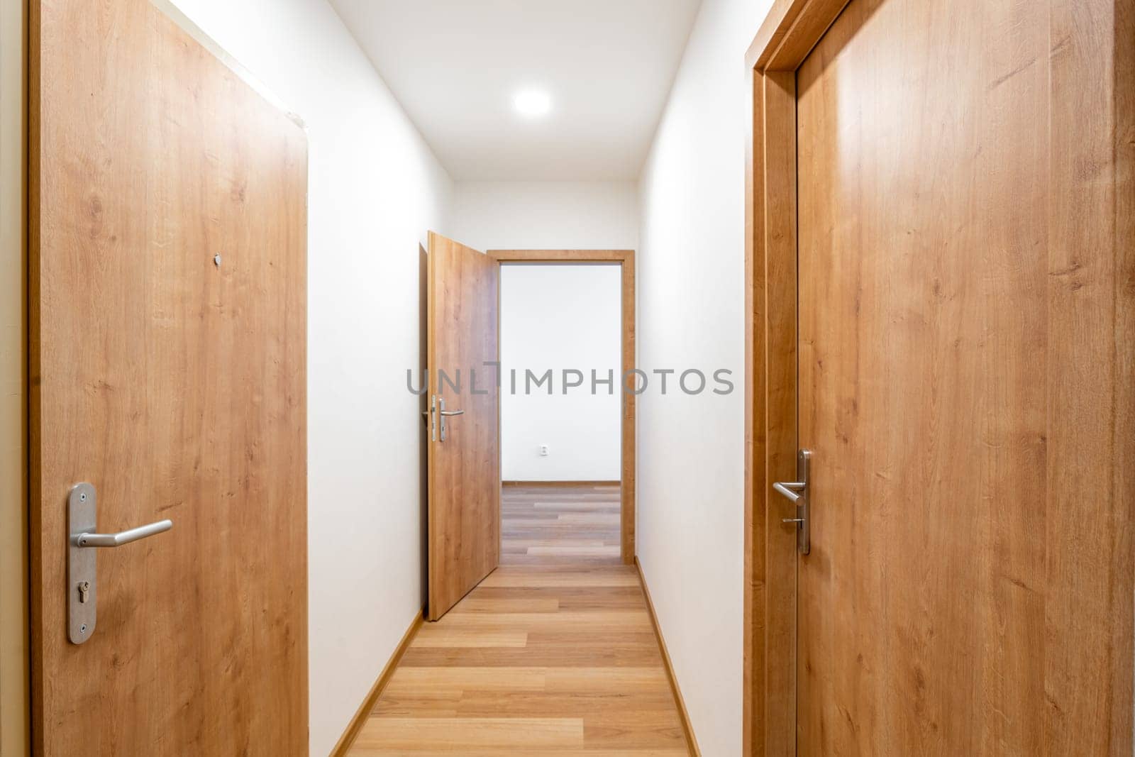 Bright and spacious hallway in a contemporary house with elegant wooden doors