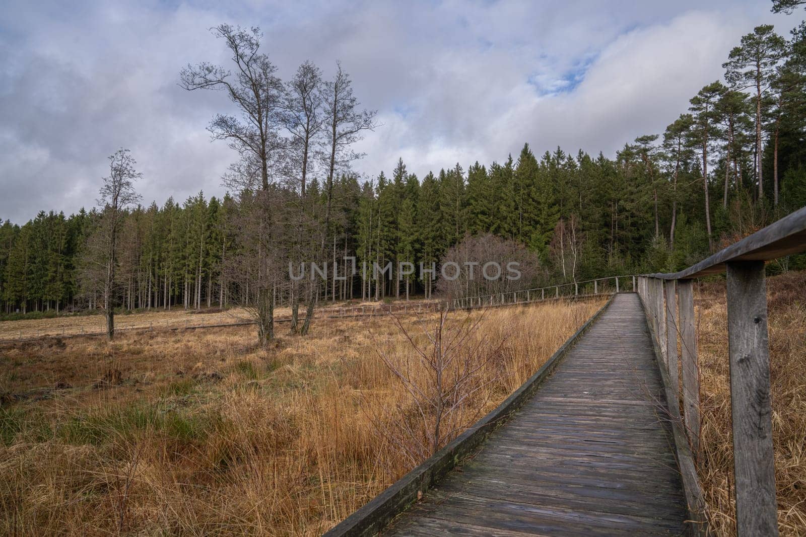 Panorama image of landscape close to Dahlem, Eifel, North Rhine Westphalia, Germany