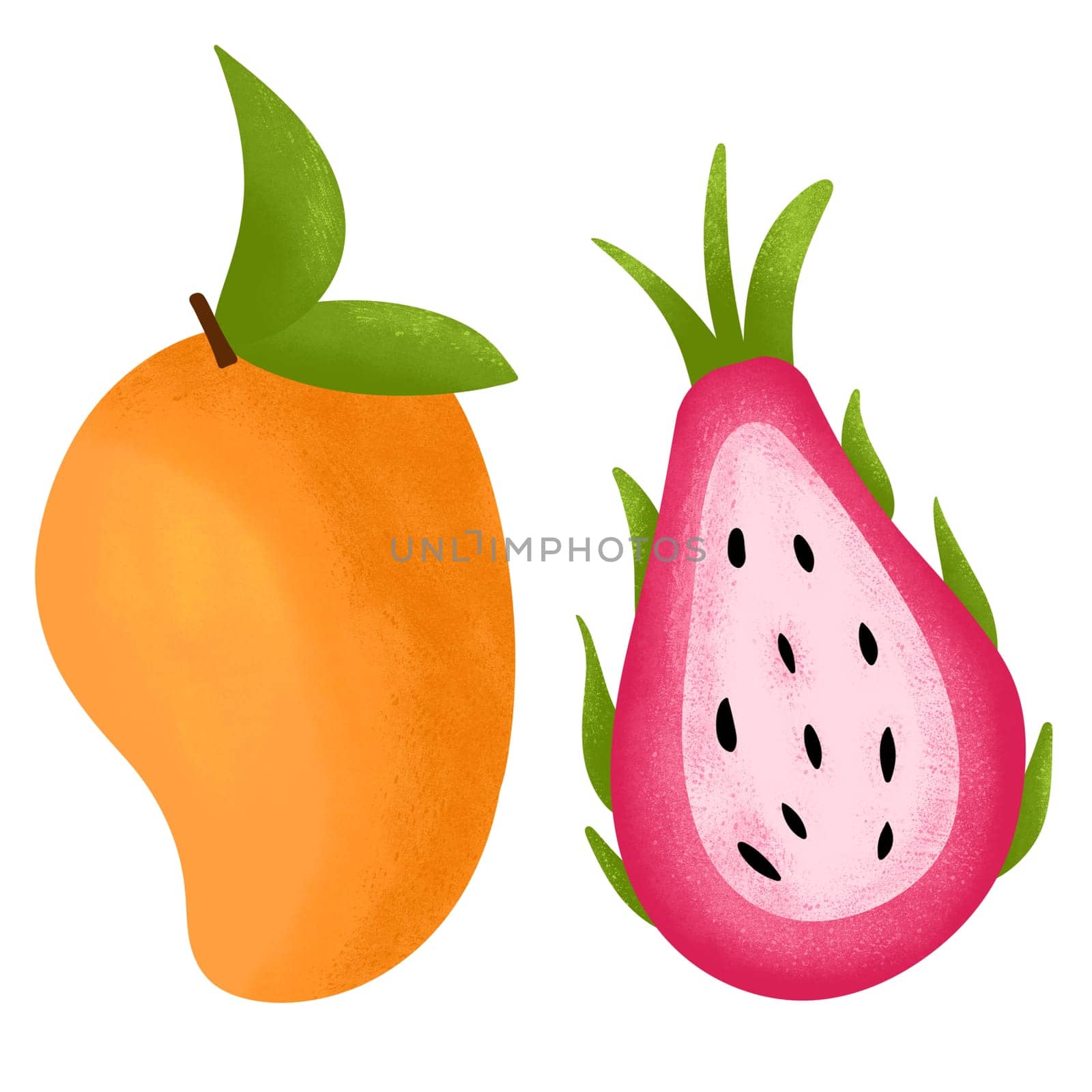Hand drawn illustration of mango dragon fruit, exotic food, tropical vegetarian product. Fresh colorful simple drawing, isolated on white background. Heathy vegan bright organic print. by Lagmar