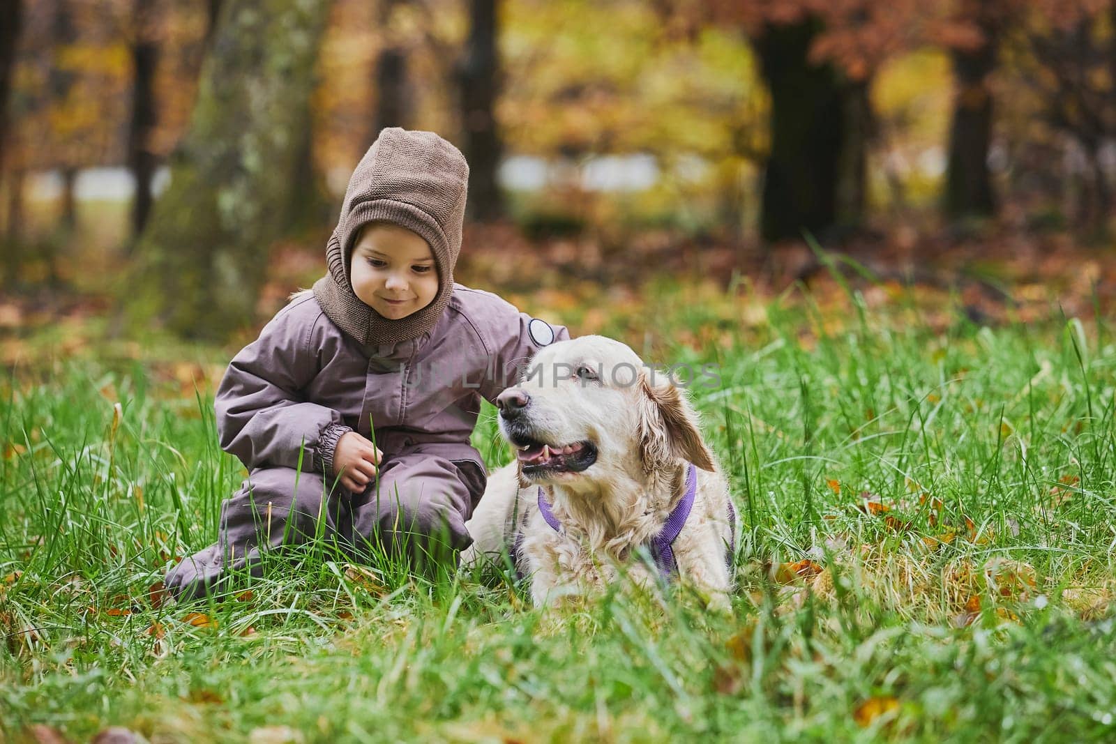 Charming child and dog walking in the forest in Denmark.