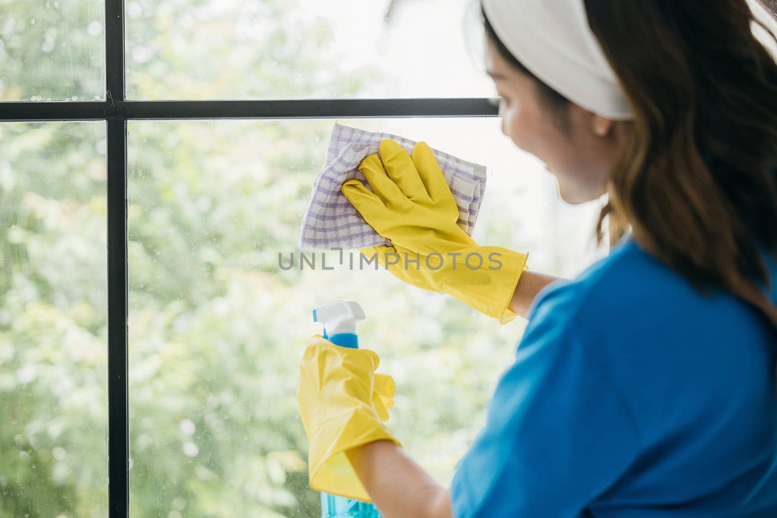 A happy maid cleans windows with a spray wearing gloves and wiping with a cloth. Her dedication to housework and hygiene ensures sparkling transparent windows in an office.