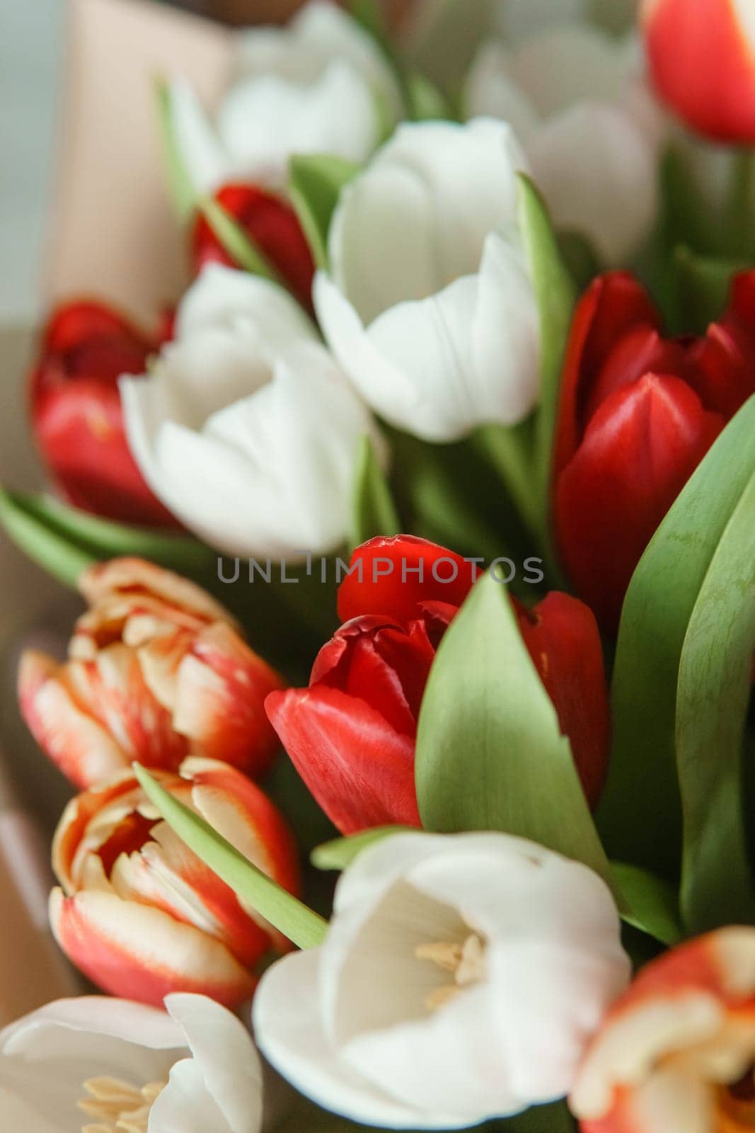 Spring Gift: Bright Tulip Bouquet for a Special March 8th Celebration