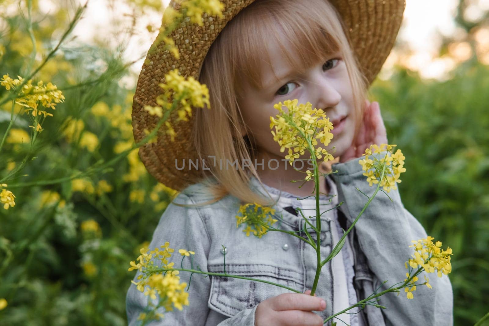 Blonde girl in a field with yellow flowers. A girl in a straw hat is picking flowers in a field. A field with rapeseed