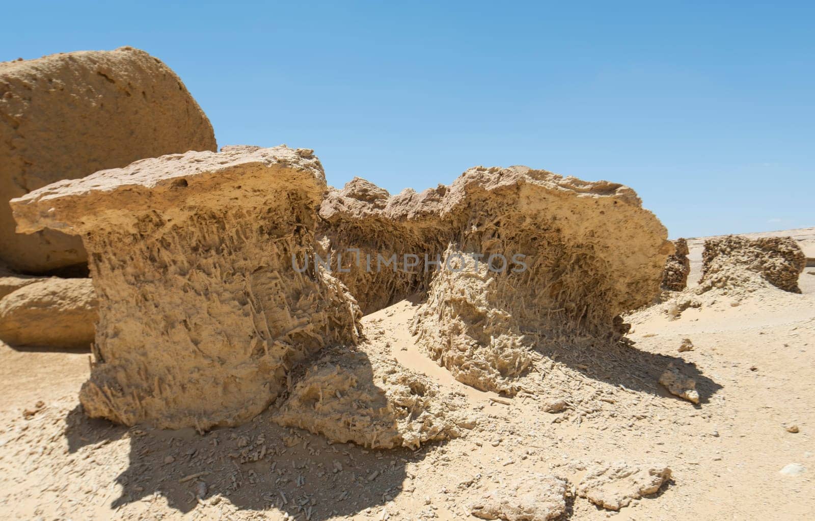 Landscape scenic view of desolate barren western desert in Egypt with geological sandstone rock formations and fossilised mangrove trees