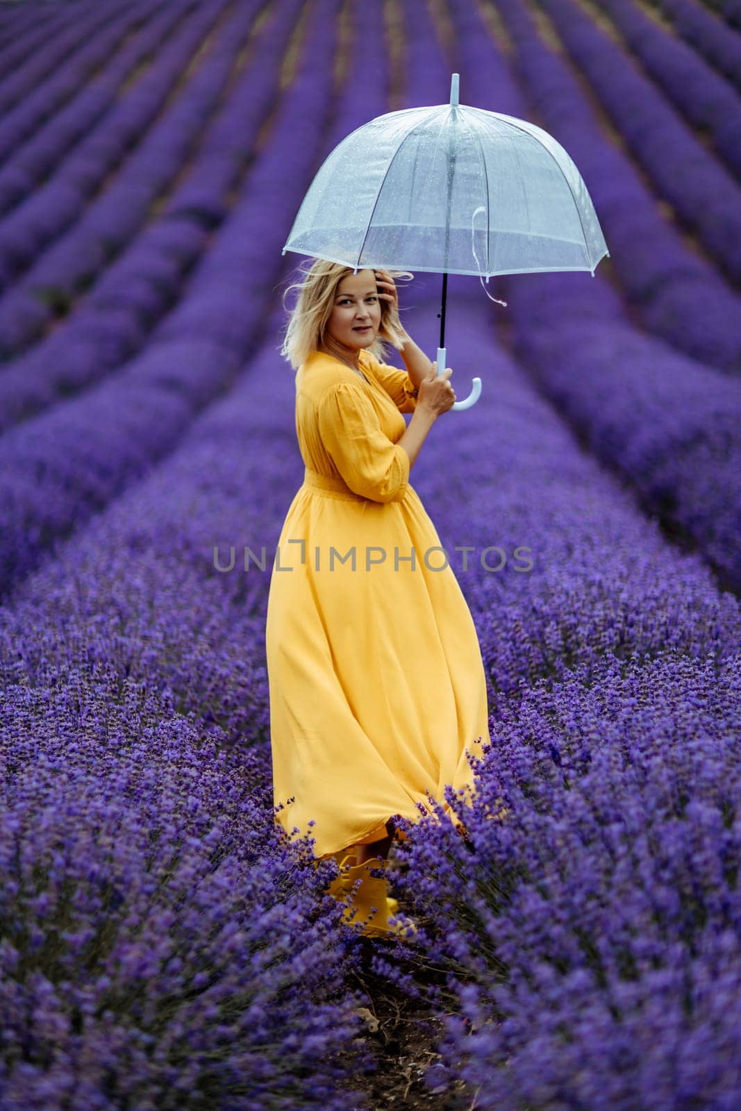 A middle-aged woman in a lavender field walks under an umbrella on a rainy day and enjoys aromatherapy. Aromatherapy concept, lavender oil, photo session in lavender.