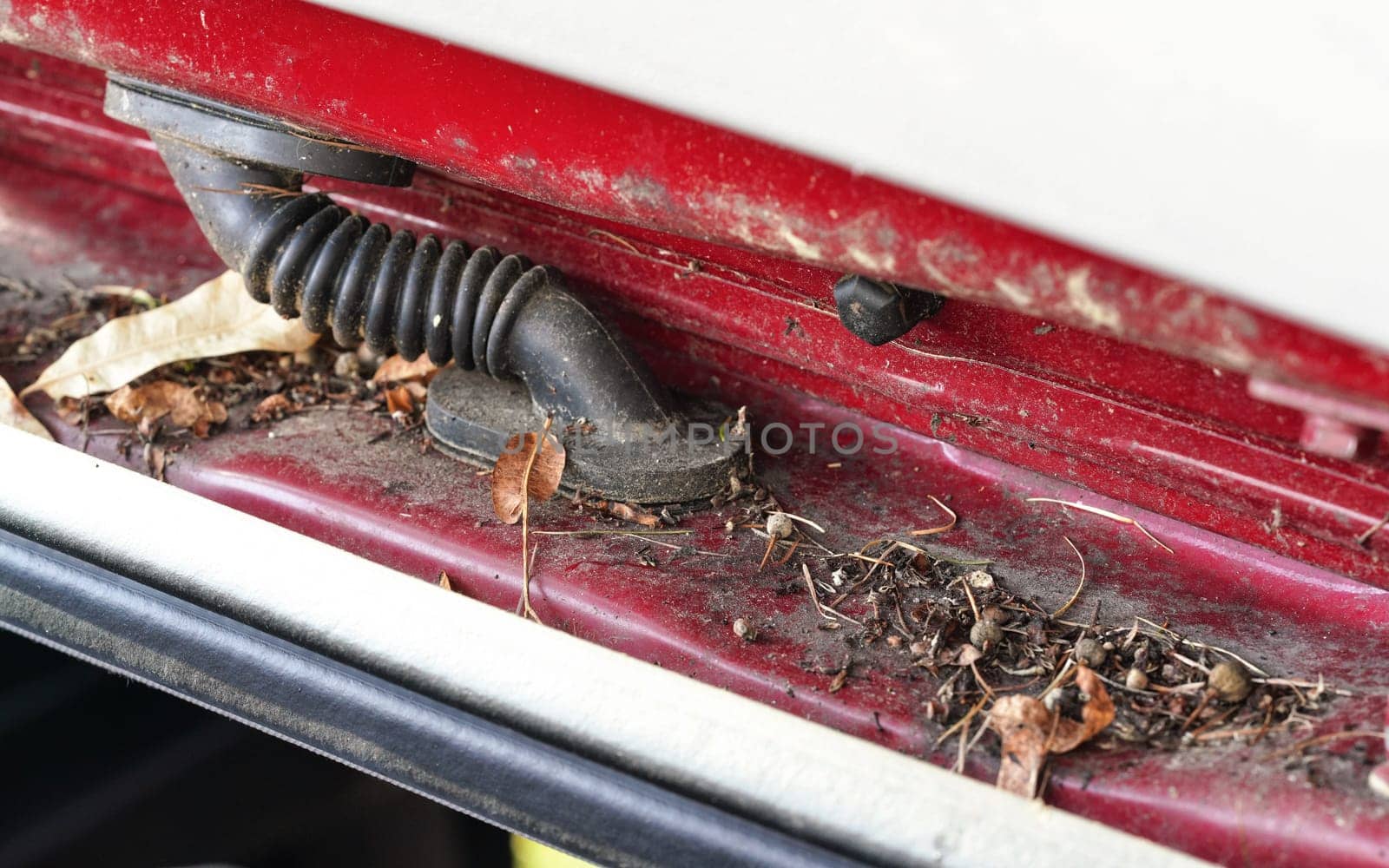 Dirt, mud, dust, pollen and other debris in opening of car left outside for long time during spring