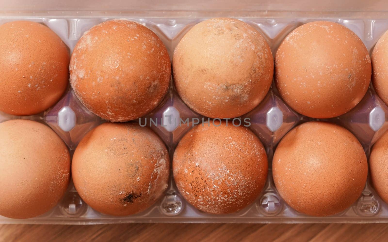 Mould / mildew growing on spoiled eggs stored improperly in cold and wet fridge for long time by Ivanko