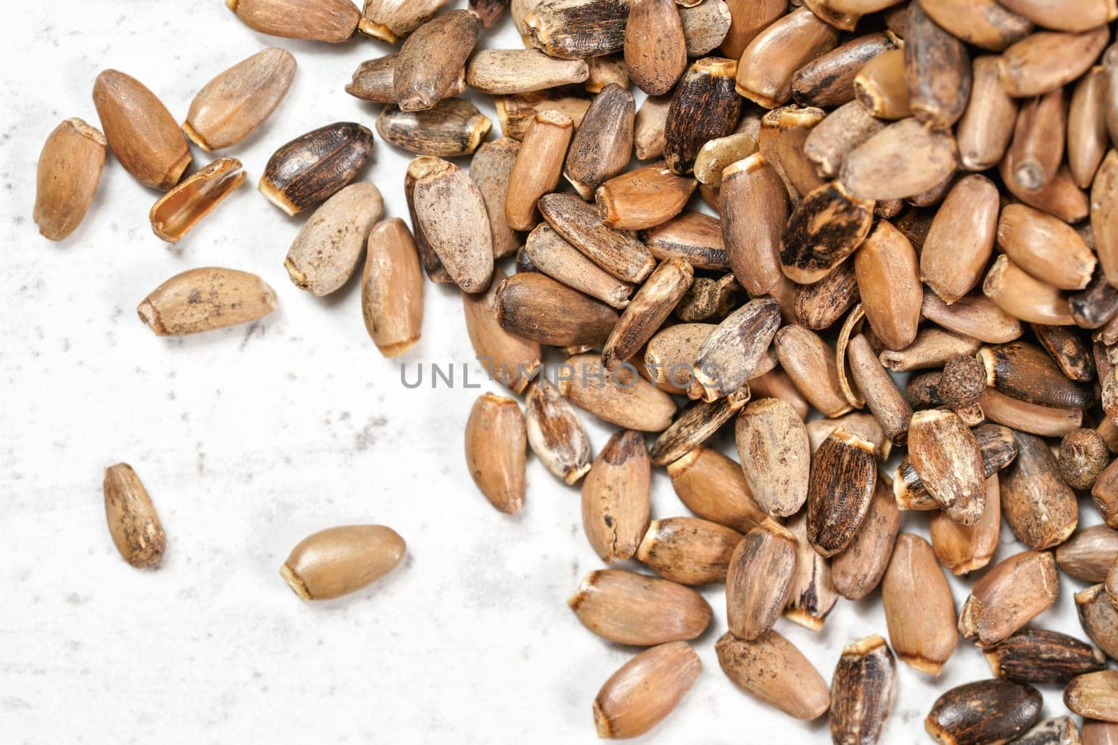 Blessed milk thistle seeds - Silybum marianum - on white stone like board, closeup detail by Ivanko