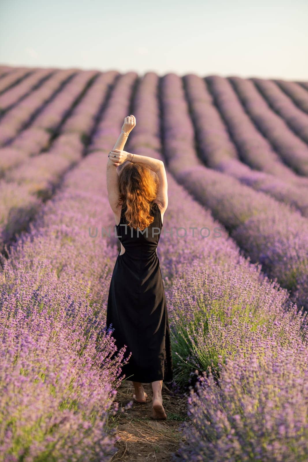 Back view woman lavender sunset. Happy woman in black dress. Aromatherapy concept, lavender oil, photo session in lavender by Matiunina