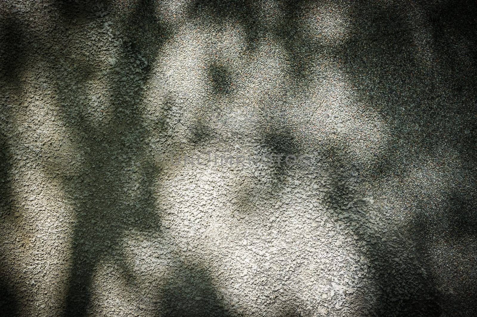 Shadow of leaves on grayish concrete wall texture background by Mixa74